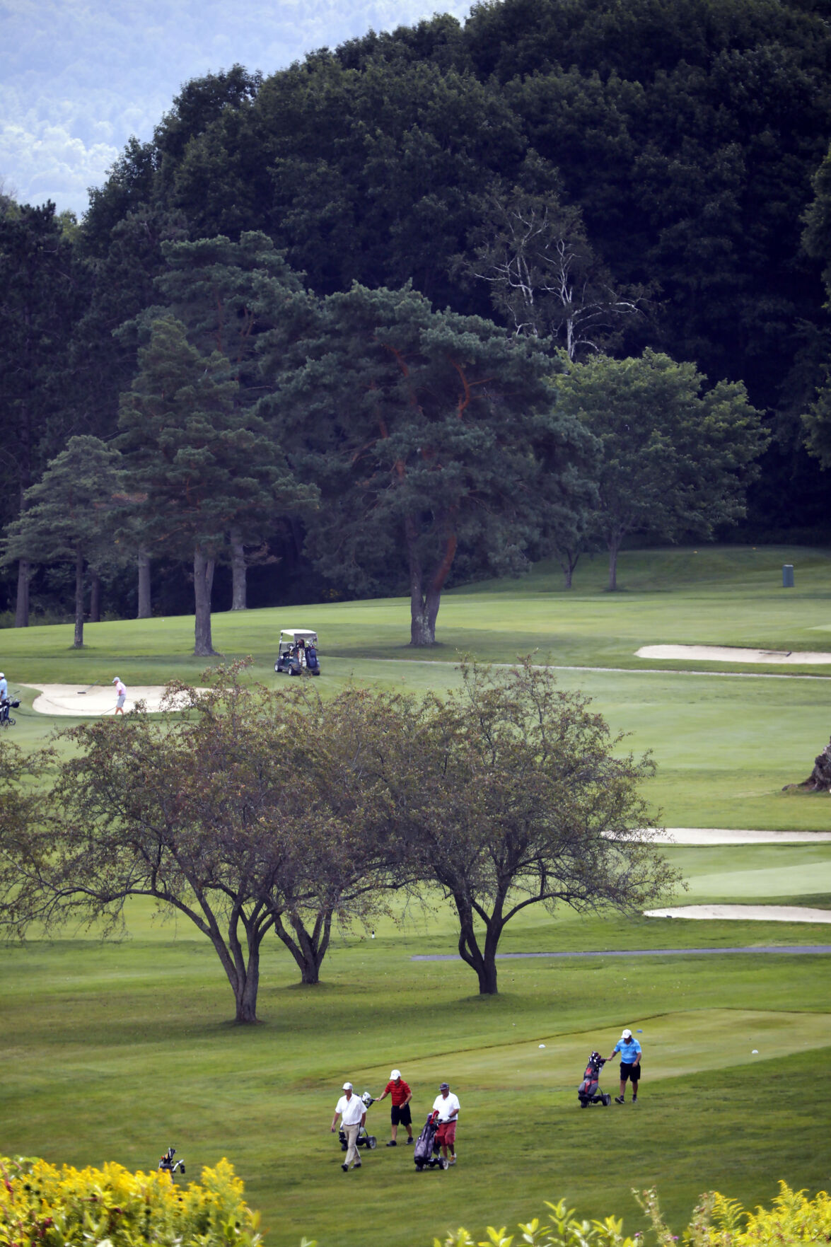 BERKSHIREHILLSCC